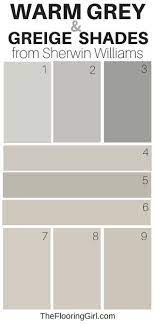 Warm Gray Paint Grey Colors