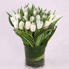 We did not find results for: Blossoms At Dailey S Flower Shop Blossomsatdaile Twitter