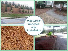 Pine Needles For Sale Pine City Mailbox Landscaping Mulch