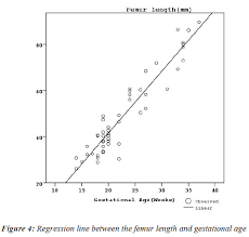 Morphometric Analysis Of Penis Development In Human Fetuses