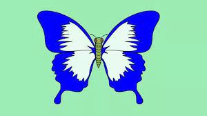 Gambar sketsa pemandangan gambar sketsa wajah gambar sketsa bunga gambar sketsa hewan gambar sketsa kartun gambar sketsa flora dll. Cara Menggambar Kupu Kupu 14 Langkah Dengan Gambar Wikihow