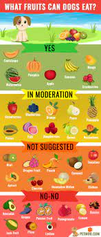 Fruits dogs can eat blueberries. Dogs Eat Nuts Www Macj Com Br