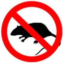 Once insects like spiders, water bugs or rats have found a scouts from a nearby colony of roaches, ants, bees, bed bugs or other pests stumble across your house. Rodents Mice Rat Pest Control Services Mice And Rats Pose Many Threats To You Your Family And Your Home Pest Control Roaches Rat Pest Control Rat Control