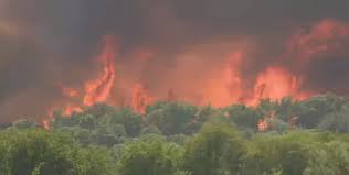 Image result for tbn:XVFRz-6Maj2JLM::www.jolmag.co.za/wildfire/images/Logos/vuvuzela_header.jpg