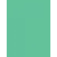 We did not find results for: Savage Widetone Seamless Background Paper 107in X50yds 40 Mint Green Backgrounds Background Stands Savage At Unique Photo