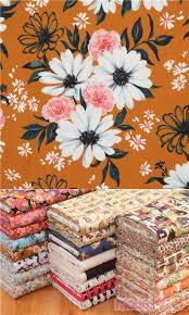 Possiede foglie sia basali che caulinari, dalla forma simile ad una lancia, di medie dimensioni e disposte in modo alterno lungo lo stelo; I Pinimg Com 564x 1b 37 3b 1b373bce82856a29c5a1