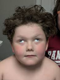 Rock Band in Knoxville Seeks Bass Player for 70's and 80's Music