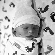 Venable Family Obituaries