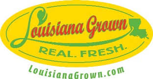 Louisiana Strawberries are here!