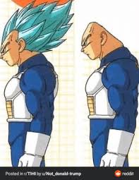 The ee20 engine had an aluminium alloy block with 86.0 mm bores and an 86.0 mm stroke for a capacity of 1998 cc. Thanks I Hate Vegeta With Normal Hair Vegeta Meme On Me Me