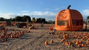 Stuckey farm is ready for its first ever sunflower festival. Ferrari Farm Fall Festival Fun For The Whole Family Krxi