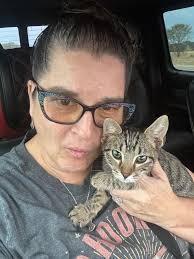 Lost kitten in Gassville Mountain Home area?