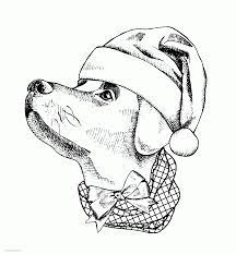 Free printable lady and the tramp coloring book pages for toddlers. Real Dog Coloring Page For Adult Coloring Pages Printable Com Coloring Home