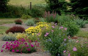 High Desert Flower Garden High Desert Landscaping Desert Landscaping Desert Flowers
