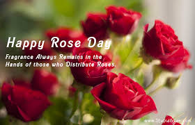 Happy Rose Day February 7 Valentine Week ✓ free for commercial use ✓ high quality images. happy rose day february 7 valentine