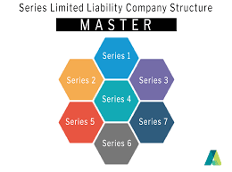 This has removed some of the cost savings of a series llc. Best Structure For Spvs Assure Spv Fund Administration Services