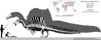 Spinosaurus 2020 Album On Imgur Spinosaurus Prehistoric Animals Dinosaur Art