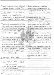 Kunci jawaban buku biologi erlangga kelas 12 kurikulum 2013 revisi. Kunci Jawaban Biologi Xii Irnaningtyas Kurikulum 2013 Bab Enzim Dan Metabolisme Sel Mas Dayat