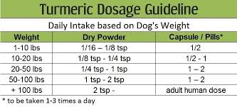 Turmeric Dosage For Dogs The Definitive Guide