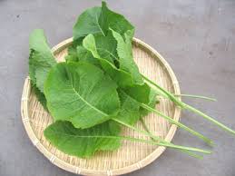 西洋わさびの葉を食する 種はゴミじゃない キッチンから始めるリサイクル菜園