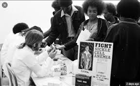 We did not find results for: With Free Medical Clinics And Patient Advocacy The Black Panthers Created A Legacy In Community Health That Still Exists Amid Covid 19 Net 2 Television