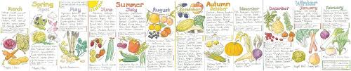 Seasonal Fruit And Vegetables Wallchart Liz Cook Charts
