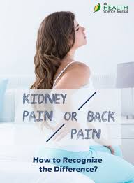 Pin On Back Pain