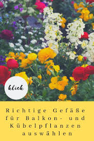 Fruhlingsblumen Ideen Fur Balkonkasten Und Pflanzgefasse Stilvolles Design Einfach Gepflanzt Pflanzen Kubelpflanzen Bepflanzung