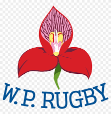 The 1.8 million square foot facility is conveniently located off interstate 70, northwest of dayton international airport. Western Province Rugby Team Wikipedia Dhl Supply Chain Hd Png Download 1200x1171 909742 Pngfind