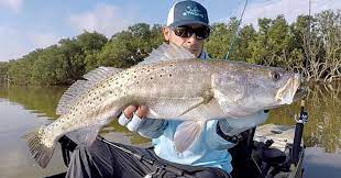 Top 3 Fishing Lures To Catch Big Speckled Trout This Fall Fishing Lures Trout Fishing Lures Trout