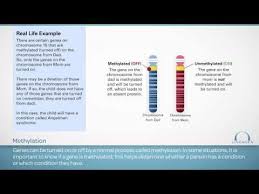 Genetic Counseling Flipbook Tutorial Youtube Genetic Counseling Counseling Flip Book