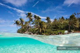 Find the perfect tropical island stock photos and editorial news pictures from getty images. Tropical Island Beach Beyond Ocean Surface Vava U Tonga Pacific Ocean Water View Stock Photo 221352514