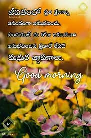 Good evening images with flowers. Pin By Indupriya On Most Good Morning Flowers Morning Flowers Good Morning