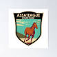 Fall Camping Trip @ Assateague Island State Park event image