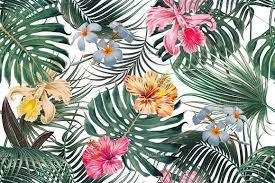 Illustration about tropical flowers and leaves. Pin On Tropical Patterns