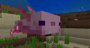 Keep mining away until you have enough items to build what you want to build in this fun online game. Ajolotes En Minecraft Donde Estan Y Como Domesticarlos Meristation