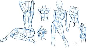 When drawing the body you gotta follow the underlying structure we created when drawing the dummy. How To Sketch Anatomy Google Search Drawing People Human Figure Drawing Figure Drawing