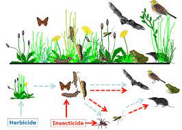 Above Presence Of Non Target Organisms Below Direct Solid Arrows Download Scientific Diagram