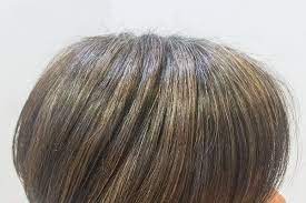 白髪を目立たなくする染め方のひとつ メッシュやハイライトと呼ばれる方法 女性 髪型 ショート 髪 シルバー ヘアスタイル ロング