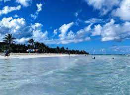 We did not find results for: Vieques Vs Culebra Differences Between Puerto Rico S Islands