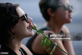 182 Anne Of Bohemia Stock Photos, High-Res Pictures, and Images