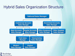 Sales Organization Structure And Salesforce Deployment Ppt