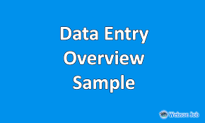 But before you get down to writing anything, you must find out how much space you. Data Entry Overview Sample Example For Upwork 2021 Webson Job