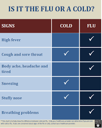 Cold Or Flu Checklist