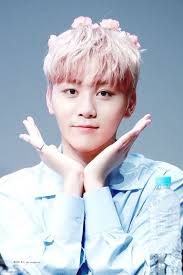 Seventeen group member seungkwan korean name finger hearts 100 page 6 x 9 blank lined notebook kpop merch journal book for carat. Pledis17 Seventeen Seungkwan Boo Seungkwan