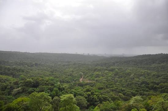 File:Sanjay Gandhi National Park as viewed from Kanheri Caves.jpg - Wikimedia Commons