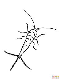 coloriage poisson d argent coloriages a imprimer gratuits enfant abstrait