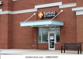 In 2000, the m&m's logo was jazzed. Banfield Logo Vector Eps Free Download
