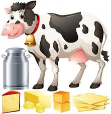Download Cow And Dairy Products Illustration For Free Cartoon Animals Cartoon Cow Cow Art
