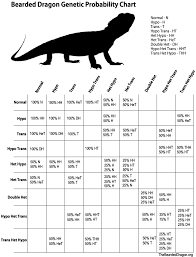 Bearded Dragon Genetic Probability Chart Color Code Hypo